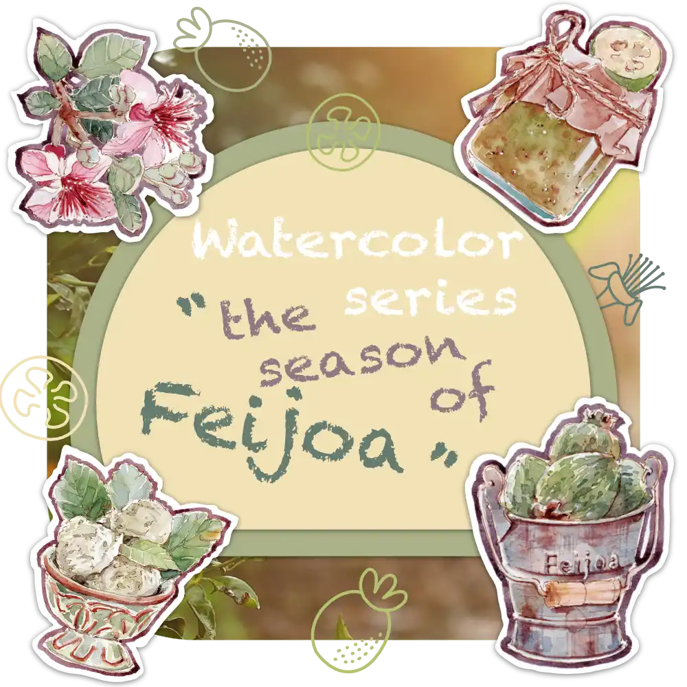 The Season of Feijoa