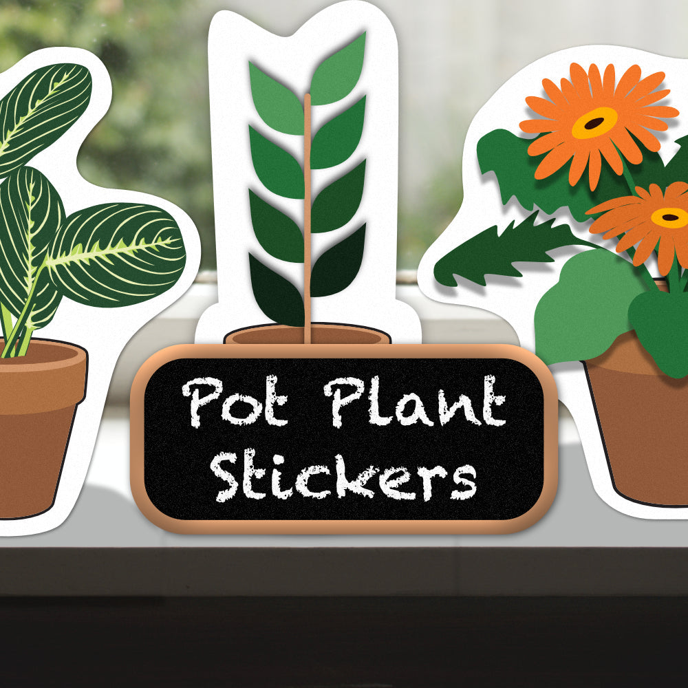 Pot Plants