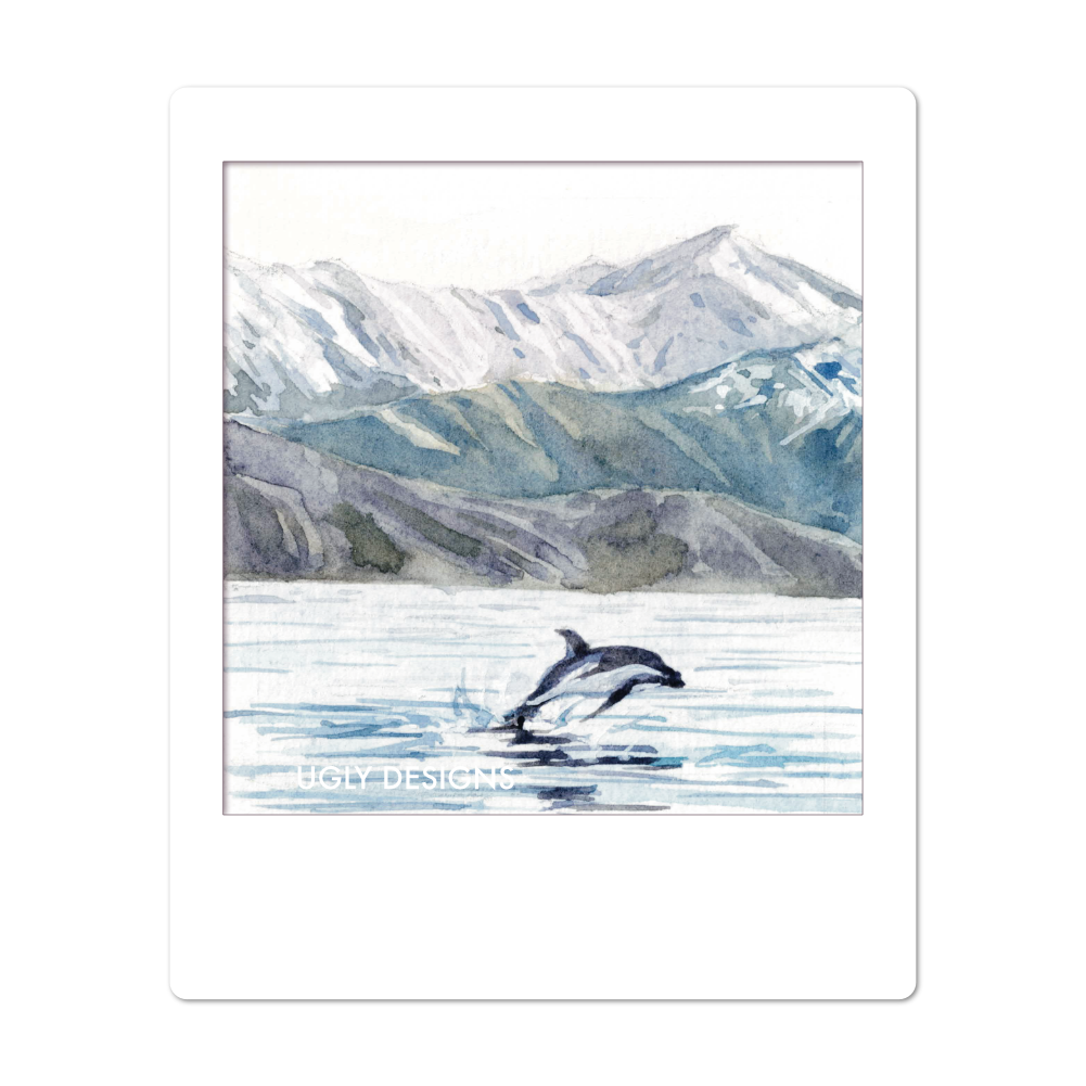 Insta Memory -  Kaikoura Dusky Dolphin