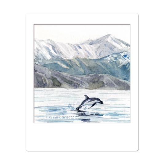 Insta Memory -  Kaikoura Dusky Dolphin