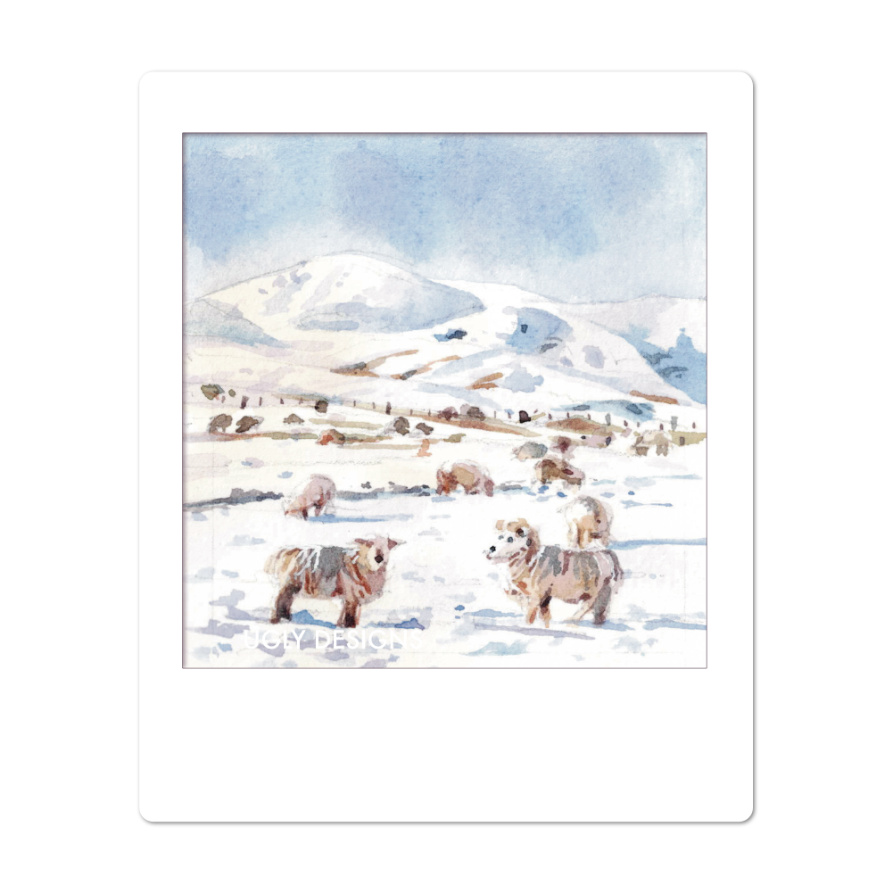 Insta Memory -   Snowy Sheep