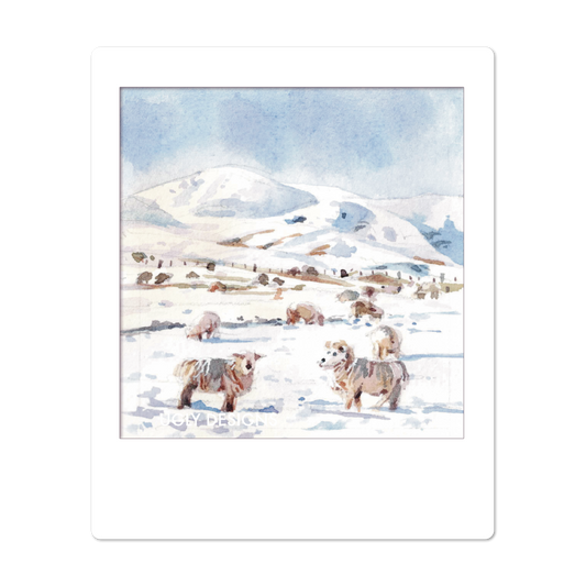 Insta Memory -   Snowy Sheep