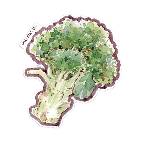 A Head of Broccoli