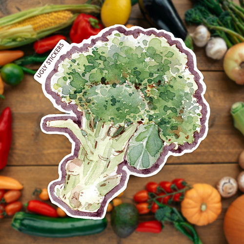 A Head of Broccoli