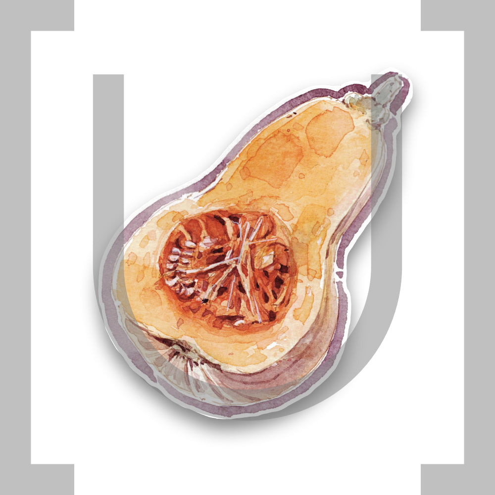 Butternut Squash