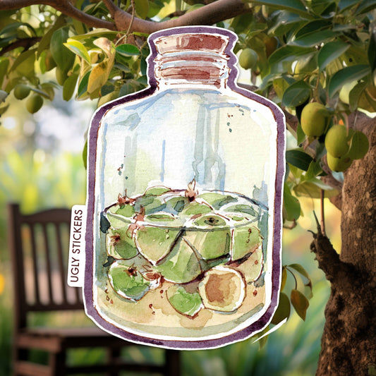 Feijoa Fizz