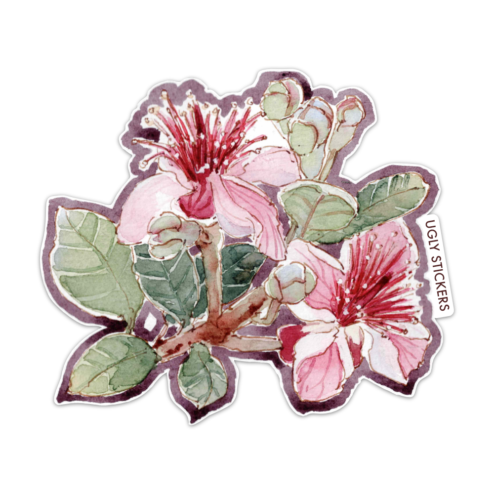 Feijoa Flower