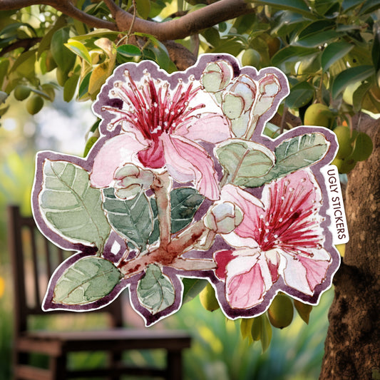 Feijoa Flower