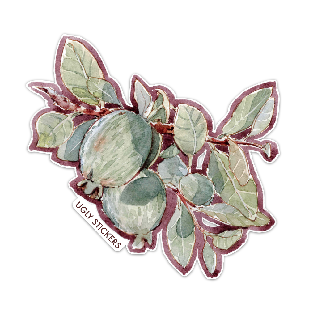 Feijoa Branch