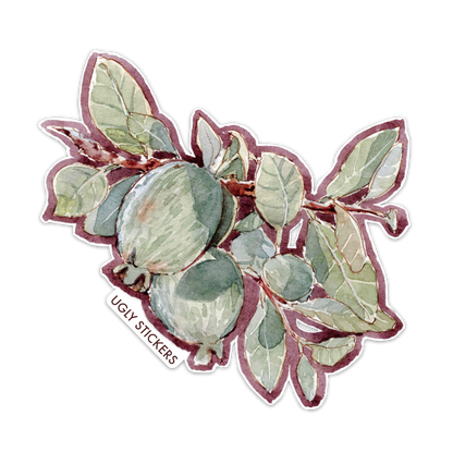 Feijoa Branch