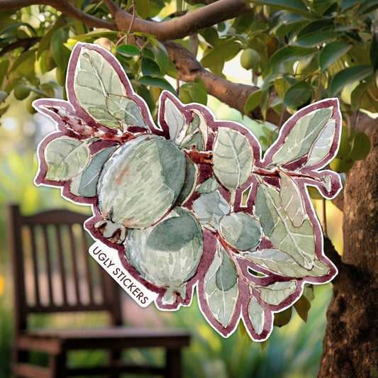Feijoa Branch