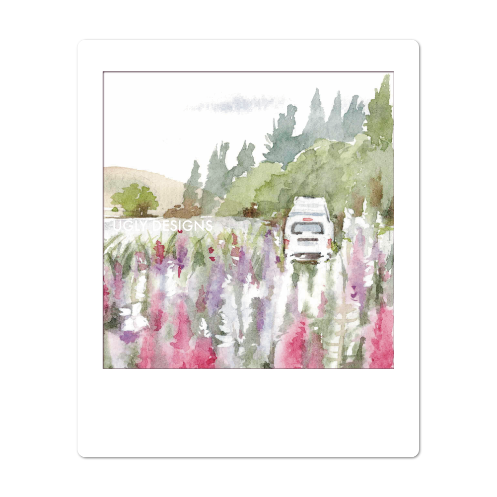 Insta Memory - Roadside Lupins