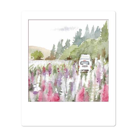 Insta Memory - Roadside Lupins