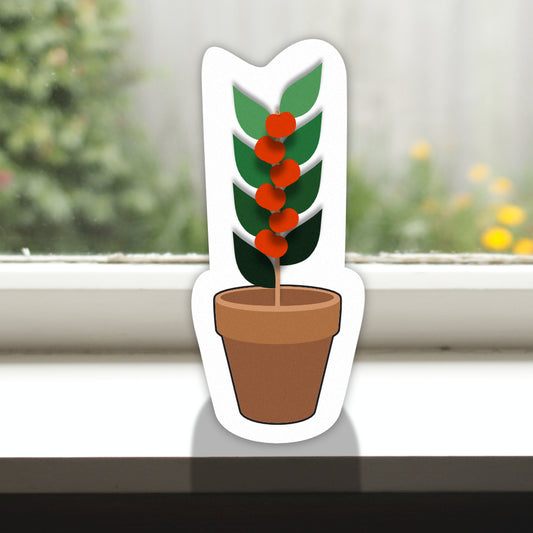Pot Plant Fruiting