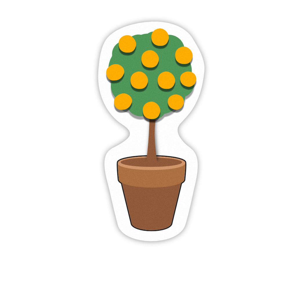 Pot Plant mini orange tree