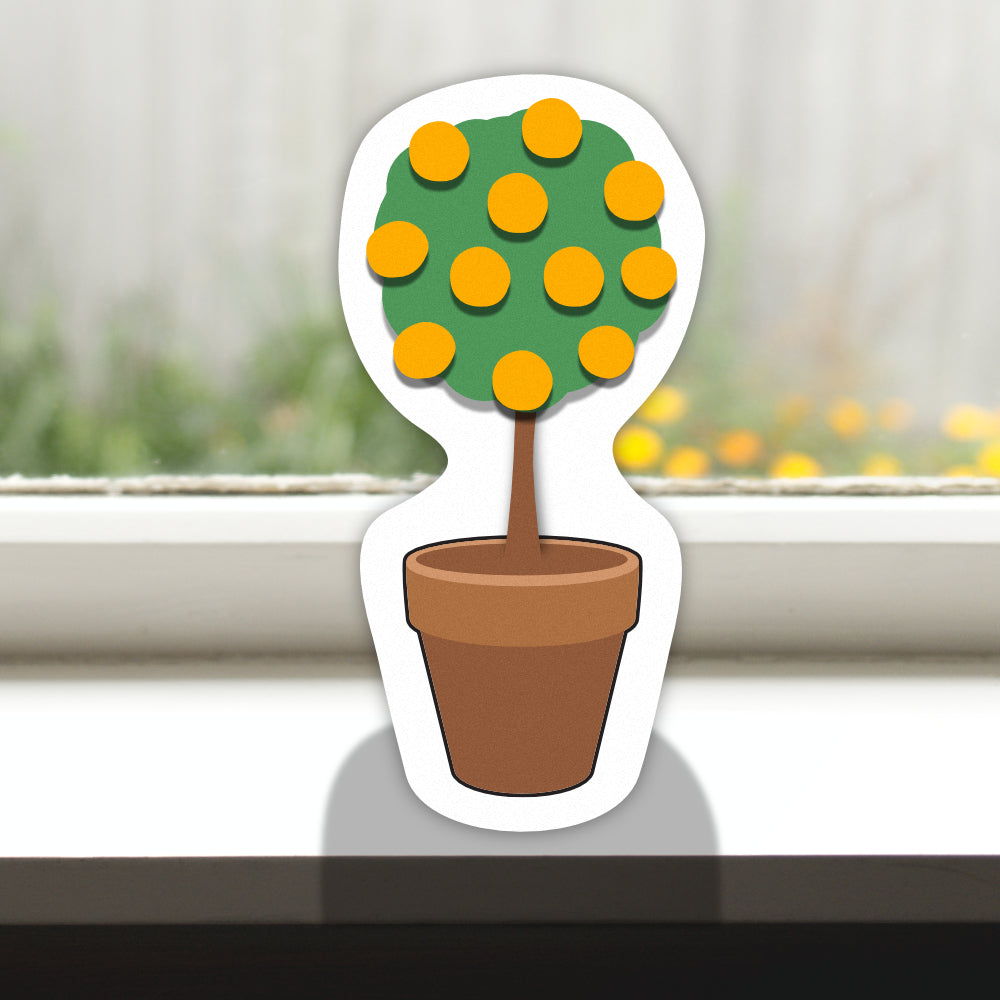 Pot Plant mini orange tree