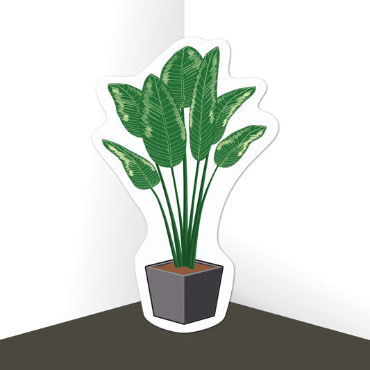 Pot Plant Palm