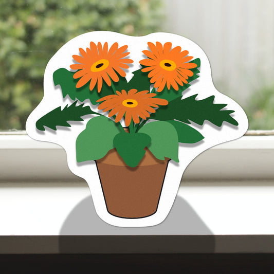 Pot Plant Pansies