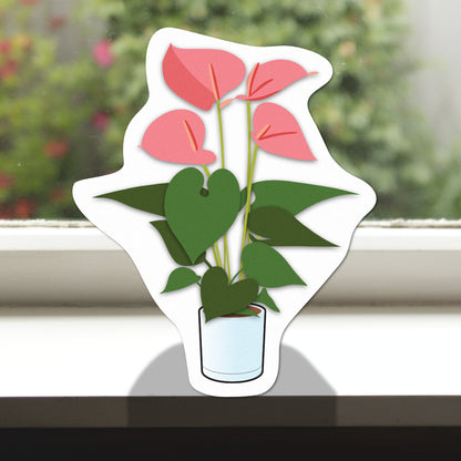 Pot Plant Pink Anturium