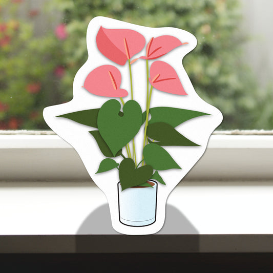 Pot Plant Pink Anturium