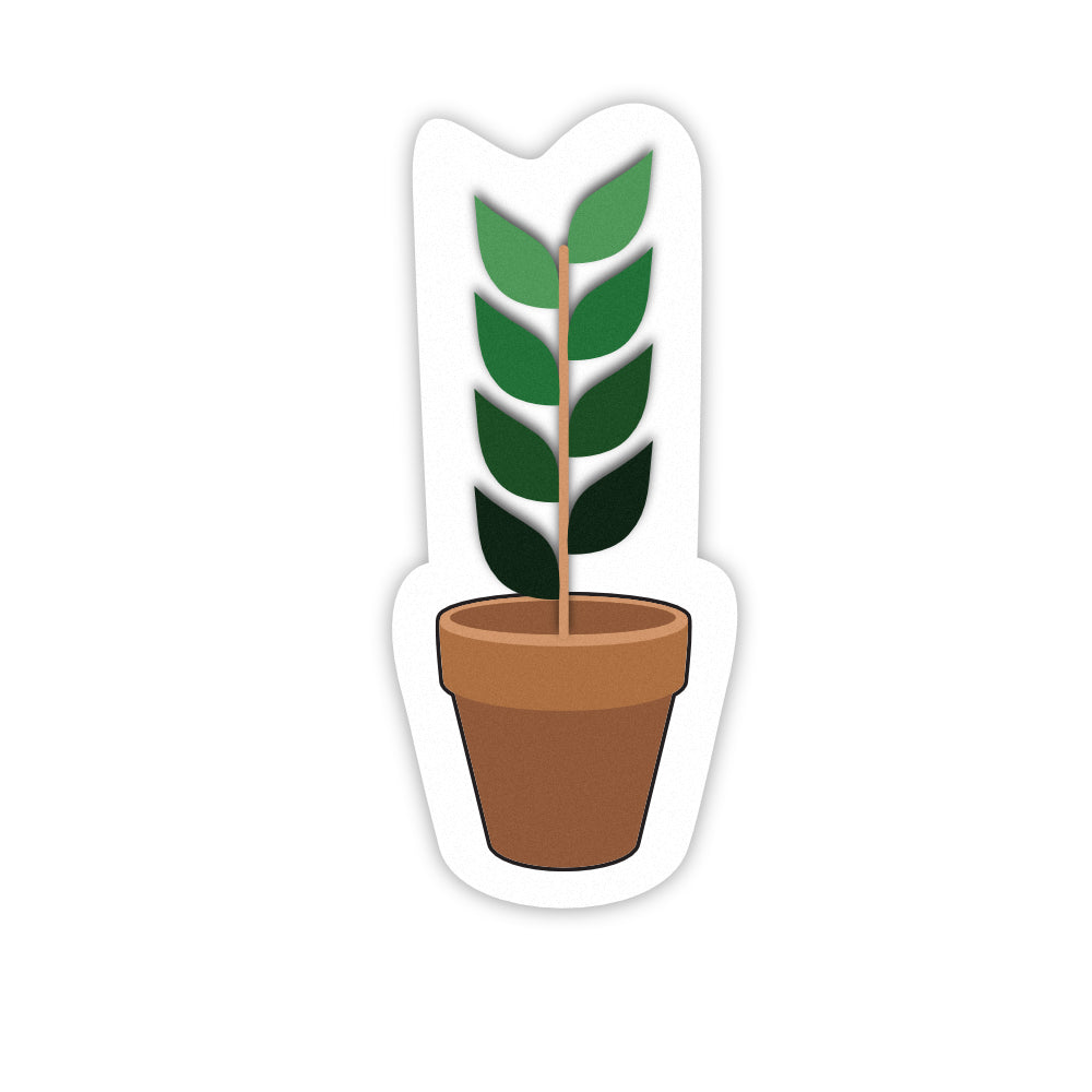 Pot Plant