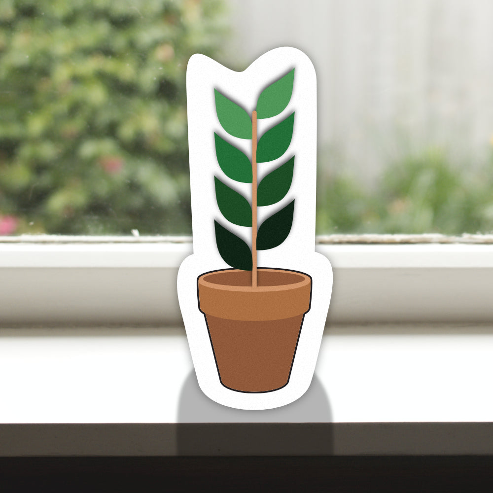Pot Plant