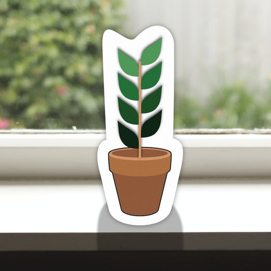 Pot Plant