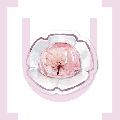 Sakura Jelly