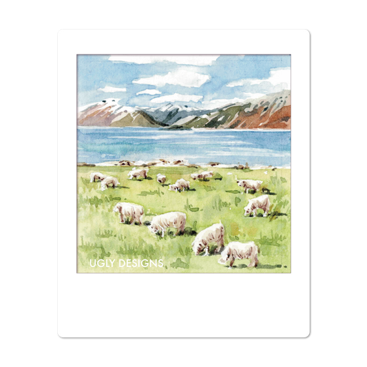 Insta Memory - Sheep On The Coast
