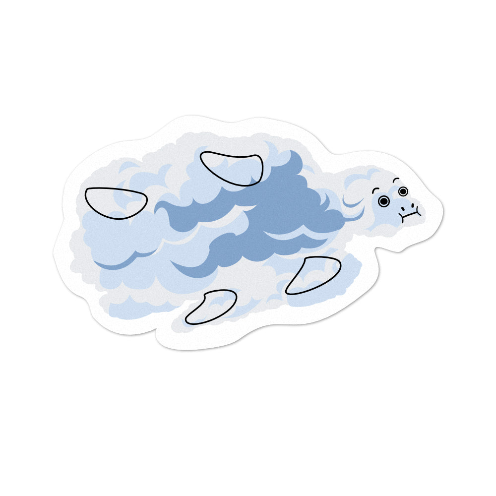 Turtle Cloud