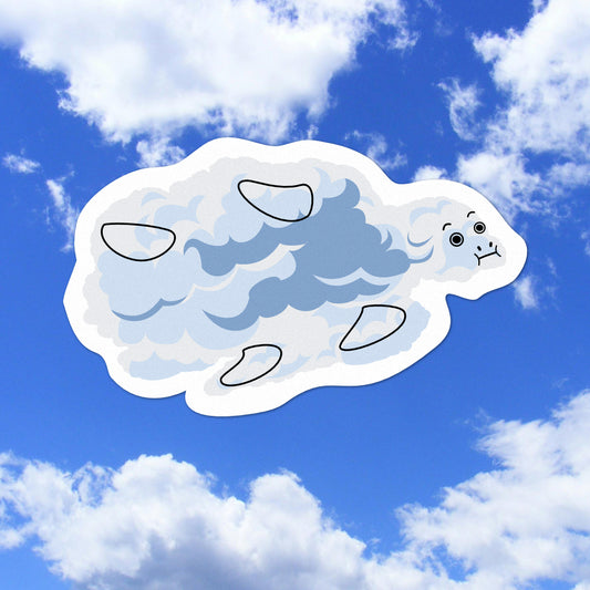 Turtle Cloud